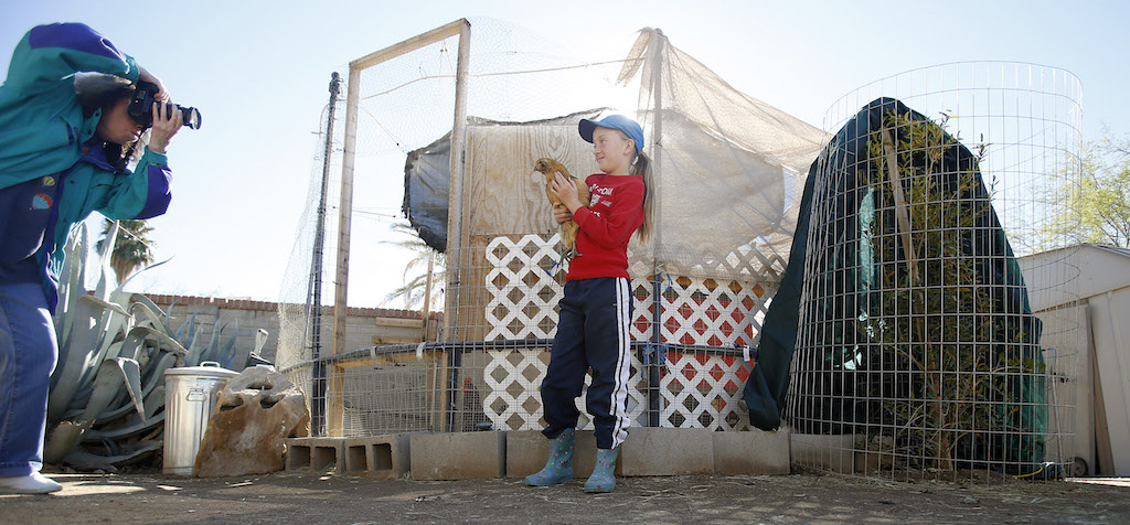 Chicken Coop Tour 2 (Credit: Mamta Popat)
