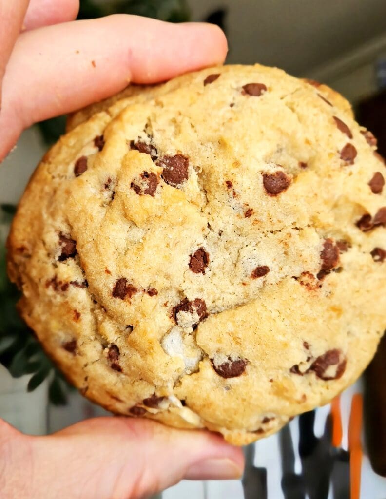 a close up of a hand holding a piece of bread
