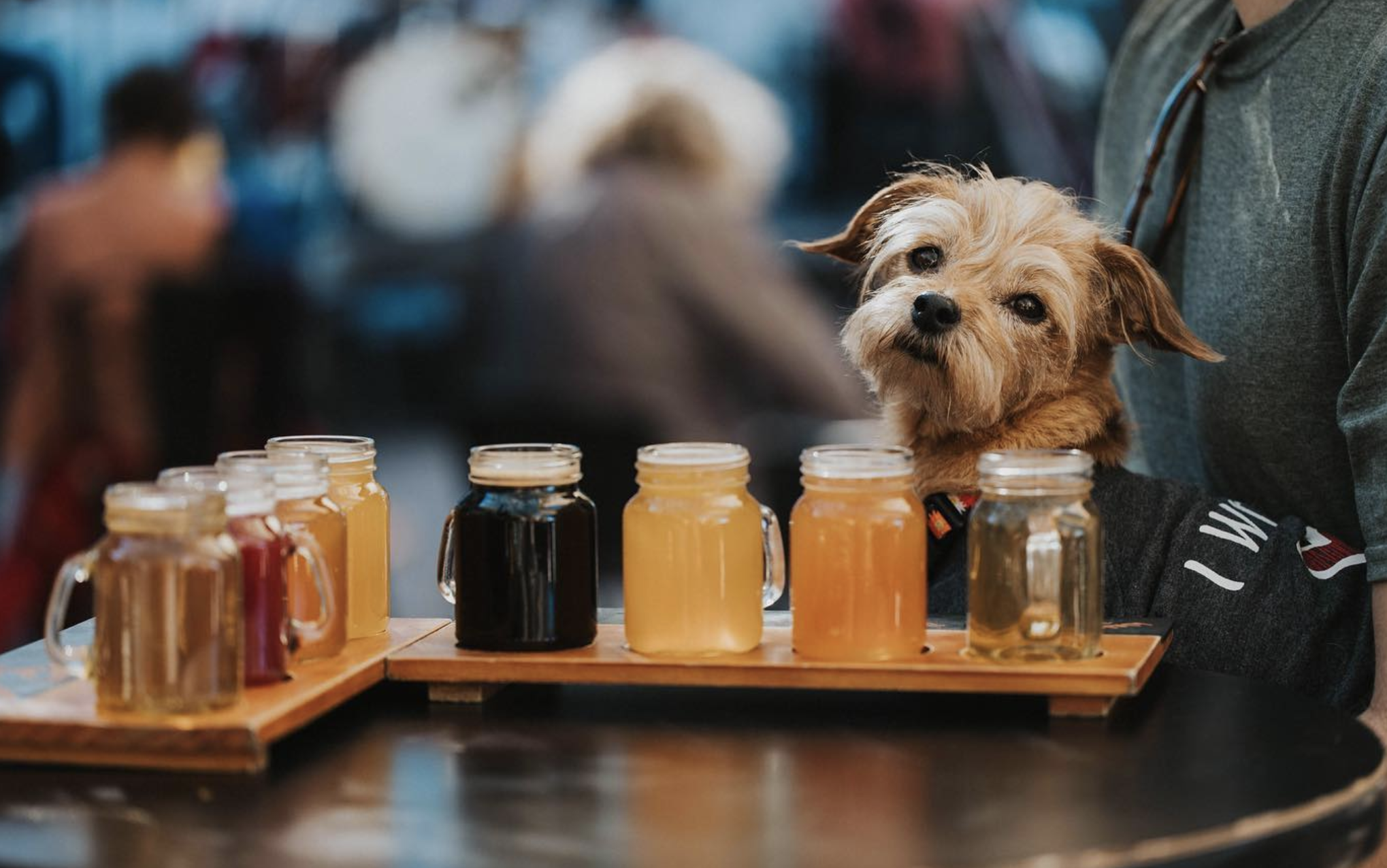 Borderlands Brewing Company