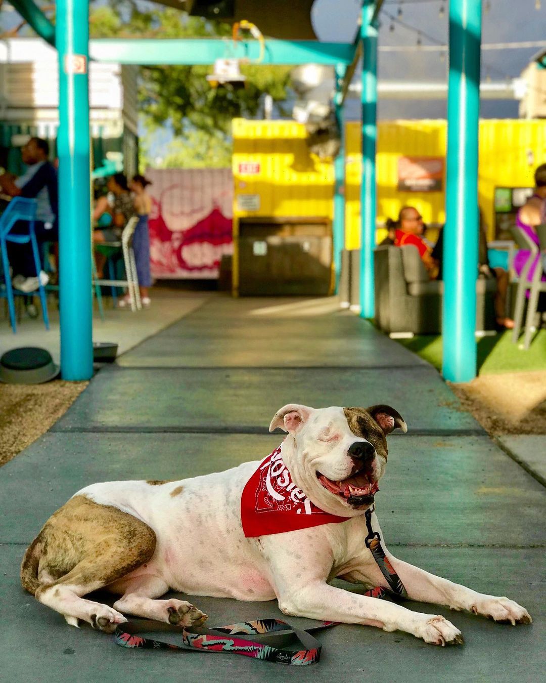 Patio at The Boxyard (Photo courtesy of The Boxyard on Instagram)
