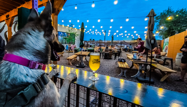 MotoSonora Brewing Company (Photo by Through the Hoop Photography)