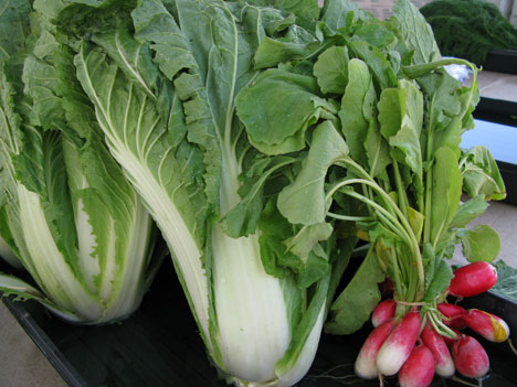 Sleeping Frog Farms Produce