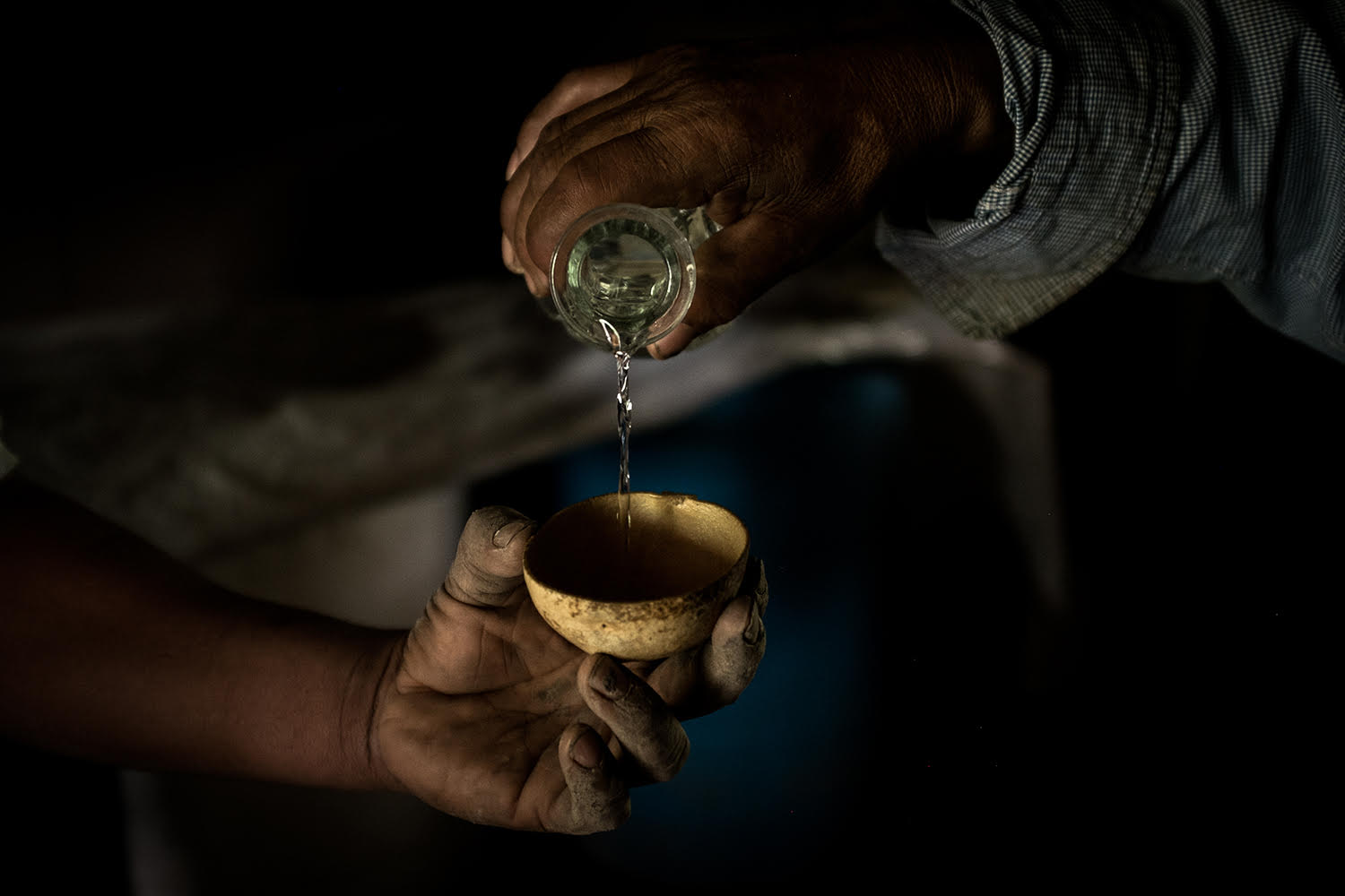 Agave: The Spirit of a Nation (Credit: Nate Pesce)