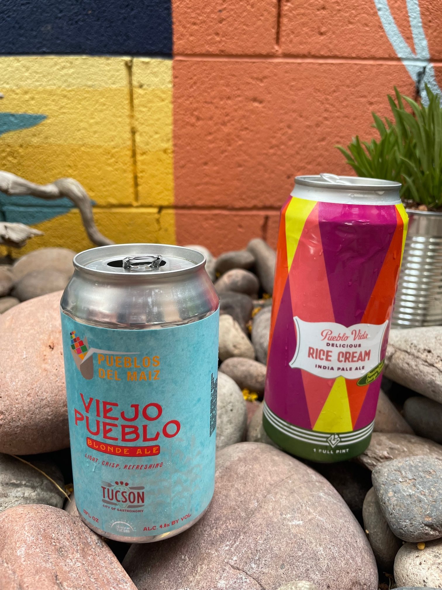 Brews from Pueblo Vida Brewing and Borderlands Brewing