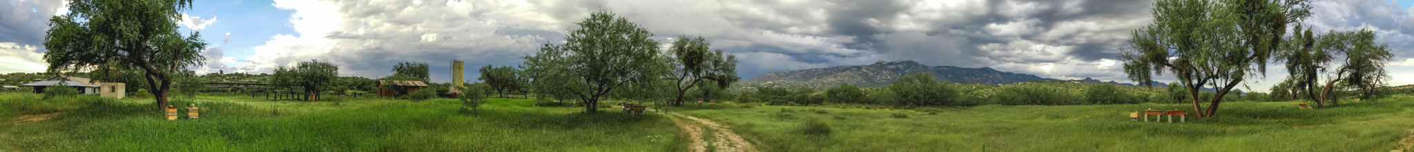 Apiary at Miraval Arizona (Credit: Jackie Tran)