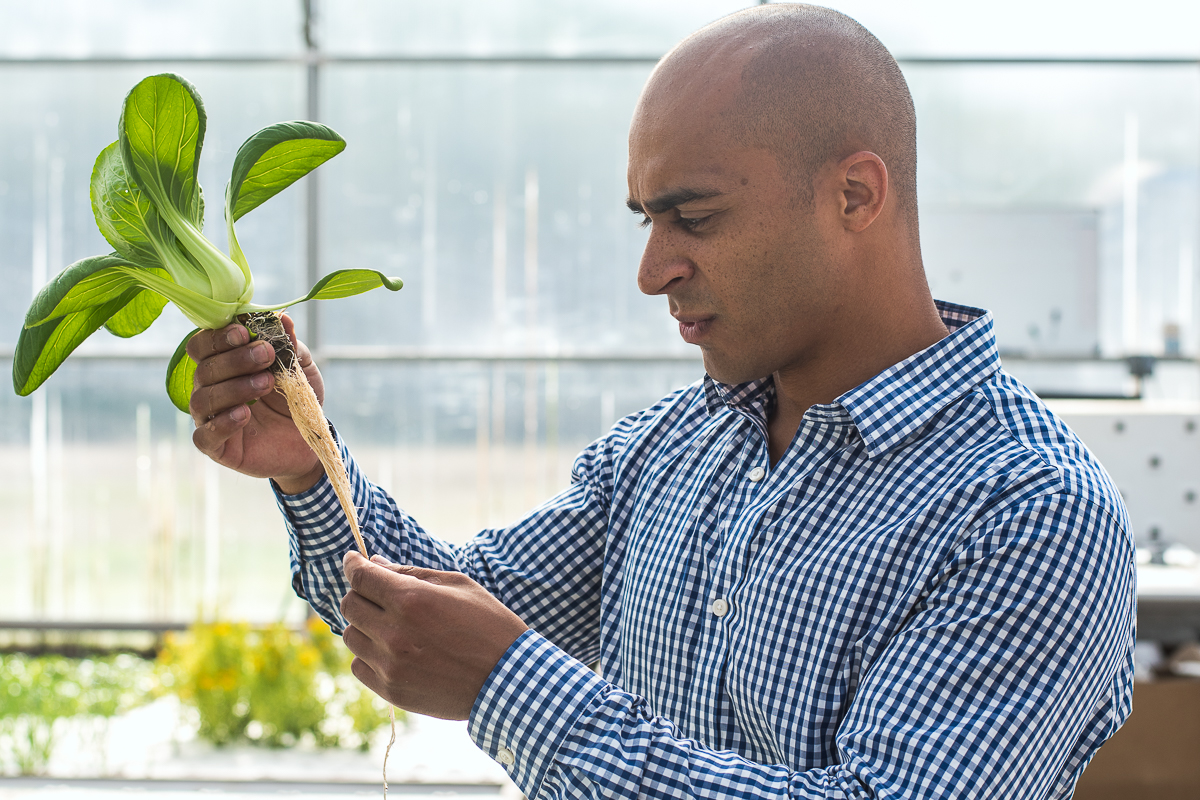 Chaz Shelton, founder and CEO of Merchant's Garden (Credit: Jackie Tran)