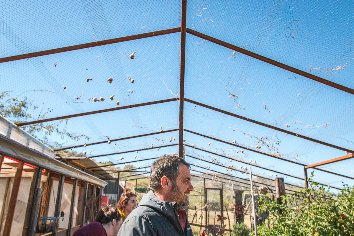 Brandon Luthy at the Peppersauce Kitchen onsite garden