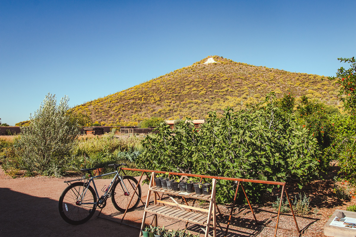 Sentinel Peak view from Mission Garden (Credit: Jackie Tran)