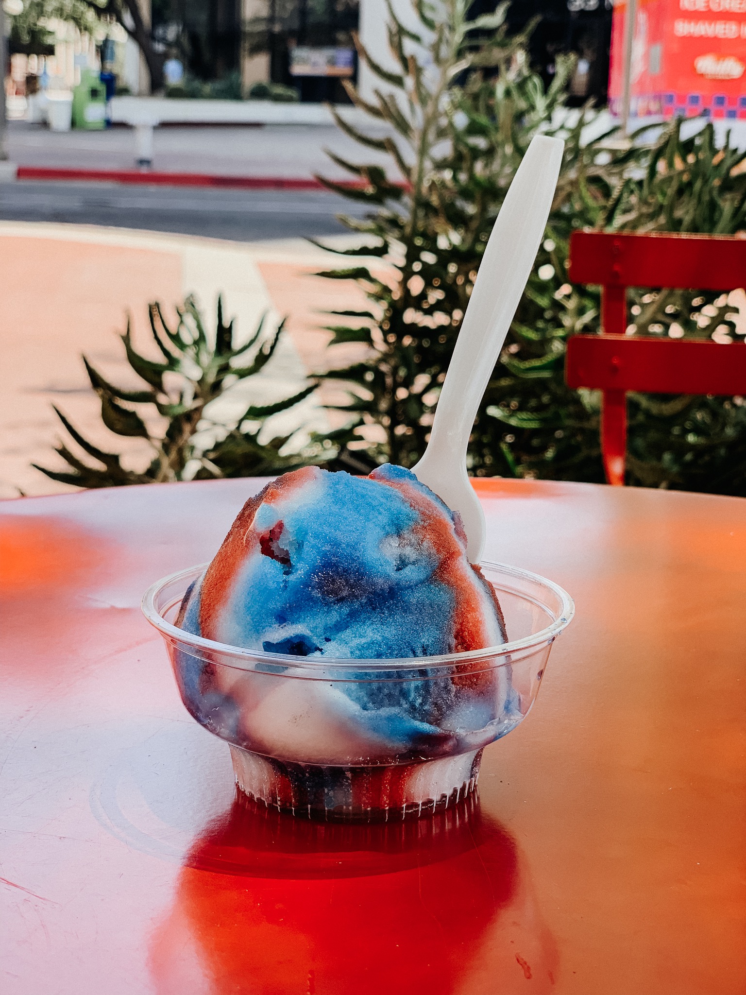 Rainbow Philly Ice at Raptor Canyon Cafe