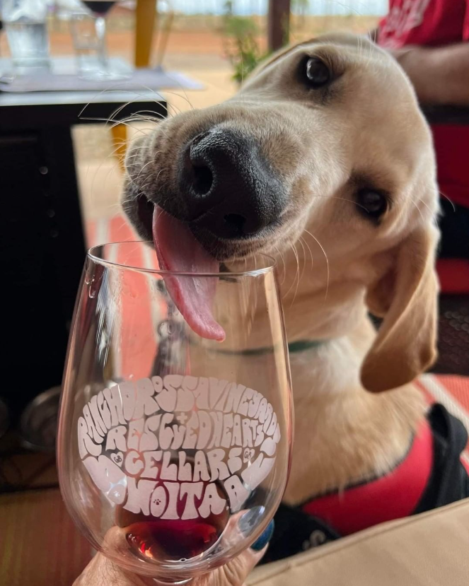Photo courtesy of Rancho Rossa Vineyards on Instagram
