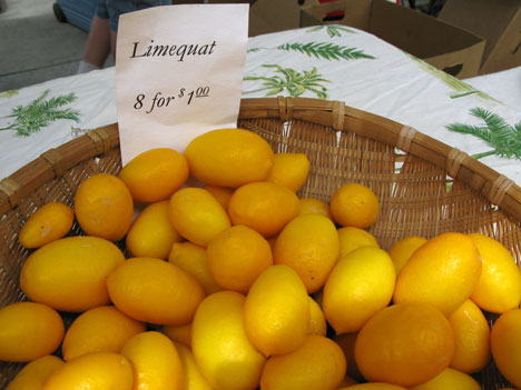 Desert Treasures' Limequats