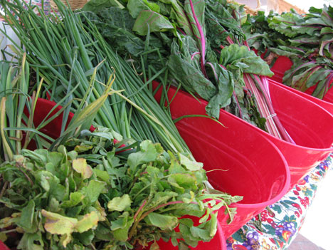 st-philips-plaza-farmers-market1