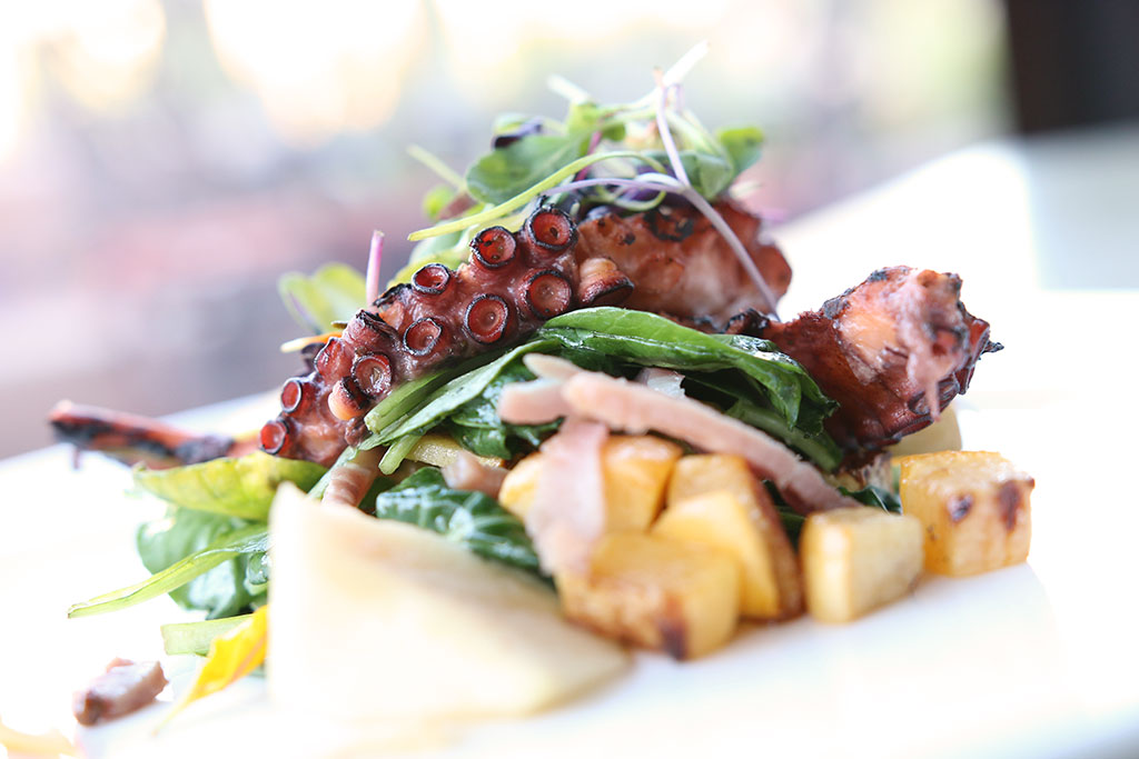 Grilled Octopus at The Grill at Hacienda del Sol