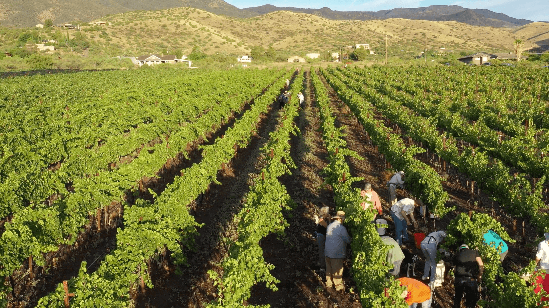 Verde Valley