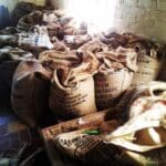 Bags of beans at Savaya in Tucson